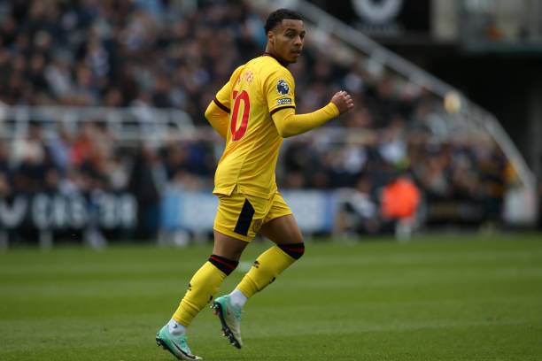 这不仅为全 这不仅为全